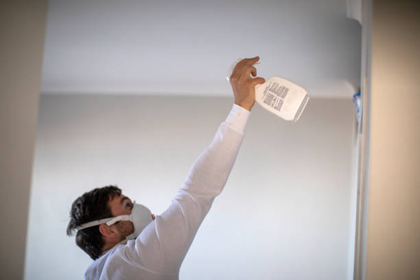 Best Toxic Mold Removal  in Antigo, WI